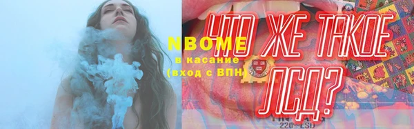 стаф Беломорск