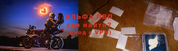 стаф Беломорск