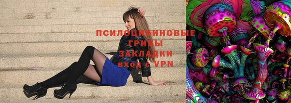 твердый Белокуриха