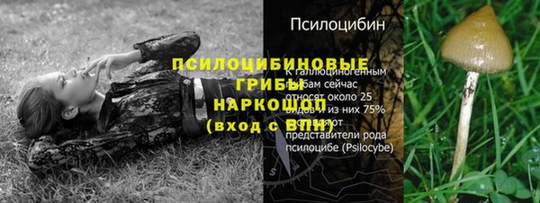 стаф Беломорск