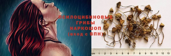 твердый Белокуриха